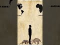 Africa vs America animals #animals #zoo #shorts