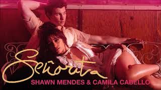 Shawn Mendes Camila Cabello - Señorita Rumba Remix