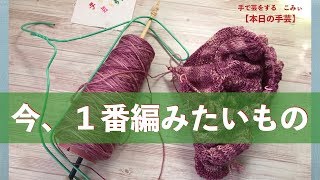 今、１番編みたいもの【本日の手芸】today's handicraft