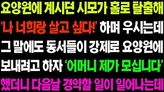 실화사연 요양원에 계시던 시모가 홀로 탈출해 '나 너희랑 살고 싶다' 하며 우시는데 그 말에도 동서들이 강제로 요양원에 보내려고 하자   사이다 사연,  감동사연,