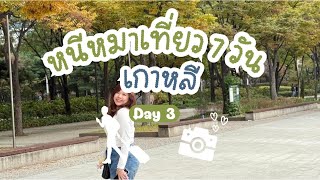 KOREAN VLOG : หนีหมาเที่ยว 2024 DAY3 Seoul Forest - Bongeunsa Temple \u0026 Myeongdong