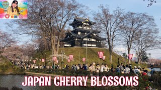 HANAMI WITH JAPANESE FOODS || TAKADA PARK 2019