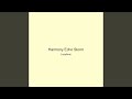 Harmony Echo Storm