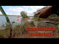 KESEMPATAN LANGKA‼️GAK SETIAP HARI BISA MANCING DI SINI || mancing ikan red devil NAHOL MANIA