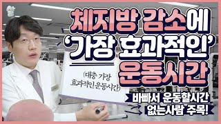 (eng sub)운동을 많이하면 할수록 살이 잘 빠질까?(feat.가장 효과적 운동시간)