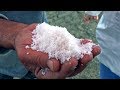 La sal, de dónde viene y cómo se hace / Salinas de Guérande, Francia / Sal de mar para cocina