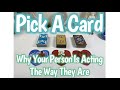 💌Pick A Card🔮 Why Your Person Is Acting The Way They Are