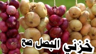 تخزين البصل | بالطريقة الصحيحه للحفاظ عليه اكبر  فترة ممكنه