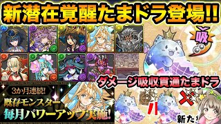 【最新情報】新潜在3種実装決定！吸収無効たまドラにルーレット対策のたまドラも！フェス限・超転生・降臨キャラの強化も来るぞ！【スー☆パズドラ】