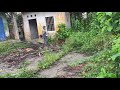 Abandoned house Overgrown with weeds Trees cover the roof Cleaning Shocking transformation