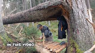Broken tree into waterproof and warm shelter to survive