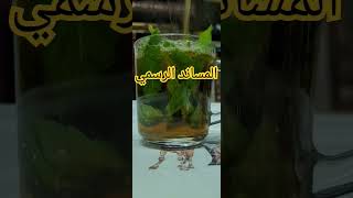 المساند الرسمي: كأس العالم