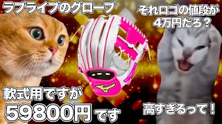 59800円のラブライブの野球グローブ【猫ミーム】 #猫マニ #猫ミーム