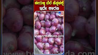 ಈರುಳ್ಳಿ ಬೆಲೆ ಹೆಚ್ಚಳಕ್ಕೆ ಇದೇ ಕಾರಣ #Onion #Tv9