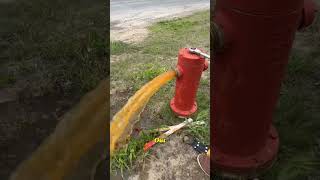 Why Cities Randomly Open Fire Hydrants#fyp#foryou#Knowle#CityLife#StreetLife