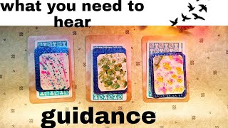 ನೀವು ಏನು ಕೇಳೋದಿದೆ |guidance |what you need to 🙉