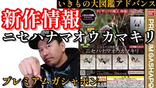 【ガチャガチャ】いきもの大図鑑アドバンス『ニセハナマオウカマキリ』【新作情報】ラインナップご紹介します。【＠BANDAI】