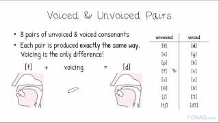 3 3 Voiced and Unvoiced Pairs