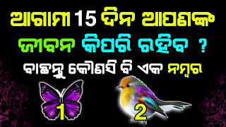 ବାଛନ୍ତୁ ଗୋଟିଏ ନମ୍ବର ଜାଣନ୍ତୁ ଆଗାମୀ 15 ଦିନ କିପରି କଟିବ | bachantu gotie number || #astrology #sadhubani