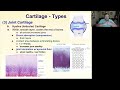 Cartilage mechanics  xid 66040778 1