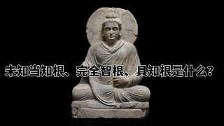 第八百章 未知当知根、完全智根、具知根是什么？完全读懂巴利文大藏经（800）