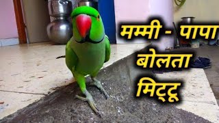 मम्मी मम्मी बोलूंगा – मम्मी कहा चली गई मम्मी को बुलाओ