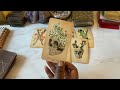 cancer ♋️ the next 72 hours september 24 25 tarot card reading