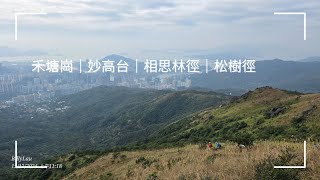 行山活動｜禾塘崗｜妙高台｜相思林徑｜松樹徑