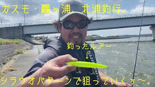 霞ヶ浦・北浦シラウオパターン