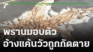 4 พรานล่าเสือโคร่งเข้ามอบตัว อ้างแค้นวัวถูกกัดตาย | 13-01-65 | ไทยรัฐนิวส์โชว์