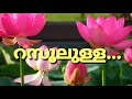 ആകാശത്തിലൊരമ്പിളിയാണോ.. aakashathilorambiliyano.. malayalam islamic whatsapp status