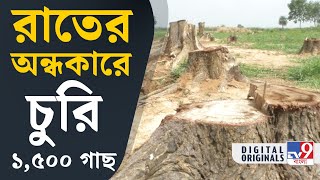 Bankura News: গোপনে গাছ চুরি কীভাবে? | #TV9D