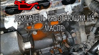 Жесть на СТО или будни автомехаников #112.Тигуан работает на масле.Volvo XC 70 на парах.Муфта Haldex