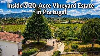 Buy a 20-Acre Vineyard Estate in Portugal with Incredible Mountain Views