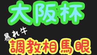 2021年【大阪杯】暴れ牛の調教相馬眼