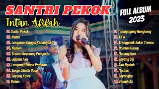Santri Pekok - Intan Afiffah - viral TIK TOK MAHESA MUSIC DANGDUT KOPLO | FULL ALBUM 2023