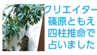 篠原ともえ(シノラー)を四柱推命他で占いました