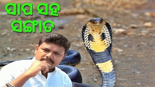 YOUTUBE ଦେଲା ନୂତନ ପରିଚୟ ସାପ ସହ ସଙ୍ଗାତ ହୋଇଗଲେ କବିସୂର୍ଯ୍ୟନଗର ର ଟୁନା ଡାକୁଅ। । #Snakestory @ktv531