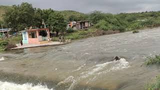 Badvel Cheruvu Canal