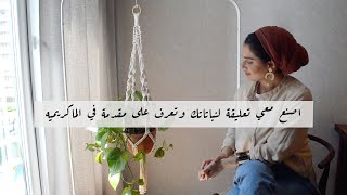 DIY Macrame Plant Hanger Tutorial كيفيّة صنع تعليقة نباتات مكرميه بنفسك | بالعربي