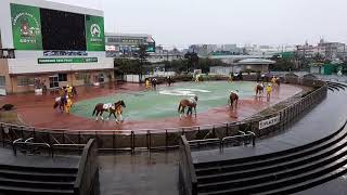 2020年3月14日、船橋ナイター無観客競馬。雪。