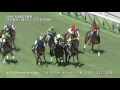 new 阪神ジュベナイルフィリーズ Ｇ1 馬齢 1600m 　2016 予想参考レース　12 8更新