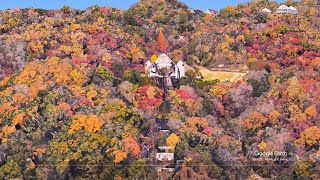 4K/60fps【神戸市内/Google Earth Studio】2023/09/07(木)♪Lady John Douglas Scott：Annie Laurie