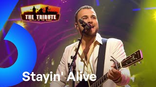 Stayin' Alive - Bee Gees Forever | The Tribute