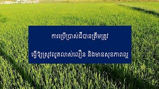 ការប្រើប្រាស់ជីបានត្រឹមត្រូវ ធ្វើឱ្យស្រូវលូតលាស់លឿន និងមានសុខភាពល្អ