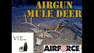 AIRGUN MULE DEER HUNT. AIRFORCE TEXAN BIG BORE .457 DIY, hunting lss ss Piledriver hammer zues