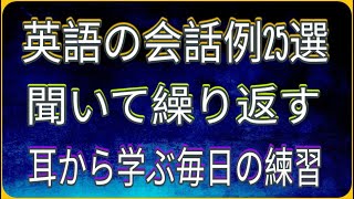 実際の会話：日常生活に役立つ英語ダイアログ