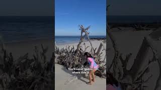 Find This Florida Hidden Gem Jacksonville