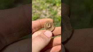 Colonial buttons are some of my favorite relics! #metaldetecting #fyp #old