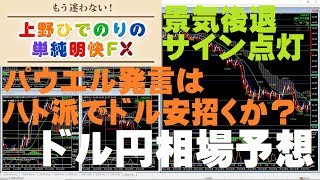 米国債の逆イールドは景気後退サイン、パウエル発言はハト派でドル安招くか？【MT4フィボナッチFX】